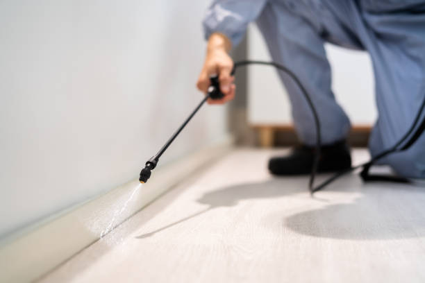 Pest Prevention Services in Inman, KS