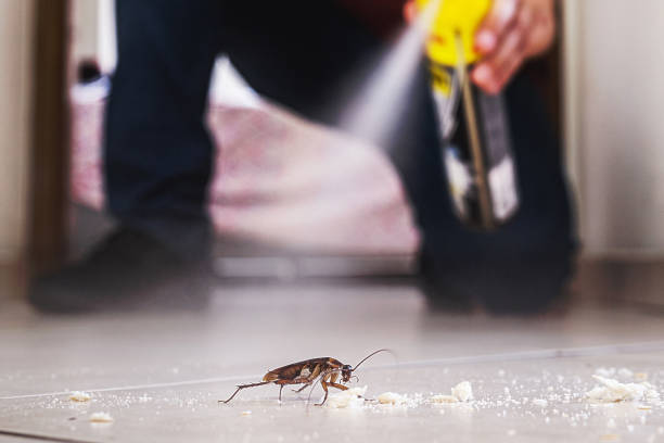 Flea Control Services in Inman, KS